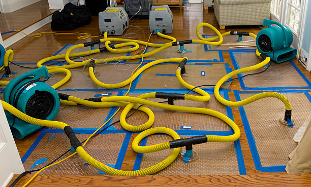 Professional Water Damage Restoration technician working in Bainbridge Island, WA